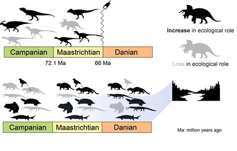 Study shows dinosaurs were 'struck down in their prime' by asteroid | Reuters