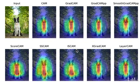 Pcambgfp Vector Map 的图像结果