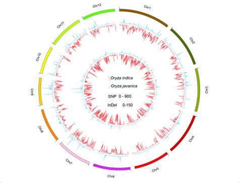 Genome Variation 的图像结果