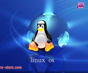 Linux建站主机 的图像结果