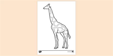 Giraffe Colouring | Colouring Pages for Kids | Twinkl