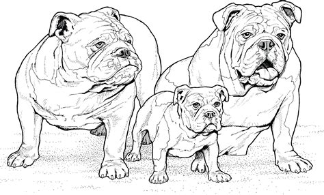 Coloring Pages Of Realistic Dogs