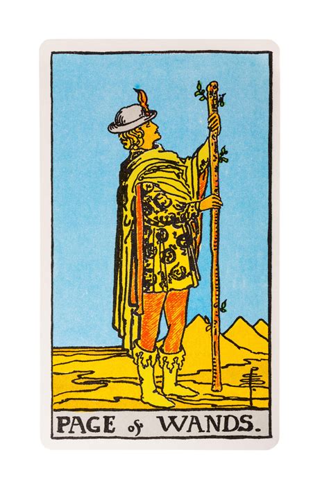 What does the Page of Wands tarot card mean? | The US Sun