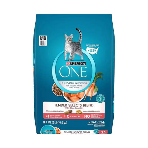 Purina ONE Plus Indoor Advantage Salmon Dry Cat Food
