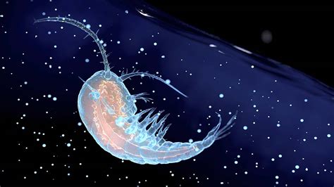 पूरी दुनिया में फैल रहा है नया वायरस, इससे पहले कभी नहीं देखा गया ...