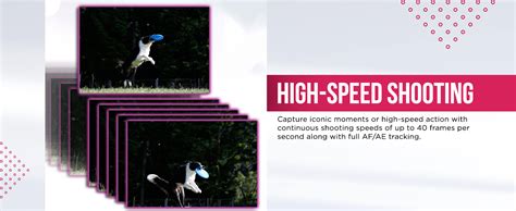 Buy Canon EOS R8 24.2 MP Full-Frame Mirrorless Camera with RF24-50mm f ...