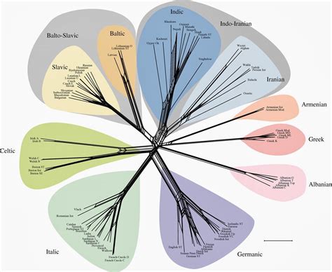World Language Family Tree 的图像结果