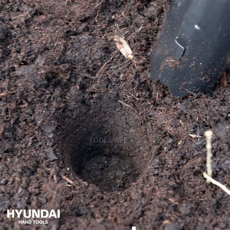 Image result for Using a Bulb Planter