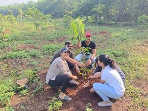 Hassle-Free CSR Tree Plantation Projects | Net Zero Goals – Grow ...