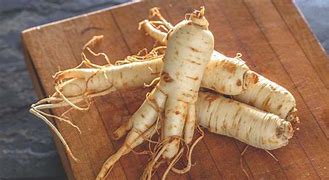 Image result for Asian Ginseng