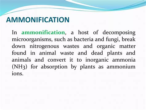 Nitrogen Cycle | PPTX