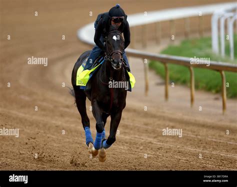 Louisville, United States. 25th Apr, 2025. Kentucky Derby hopeful ...