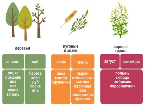 Диета При Аллергии На Тимофеевку — Похудение Диета Правильное Питание
