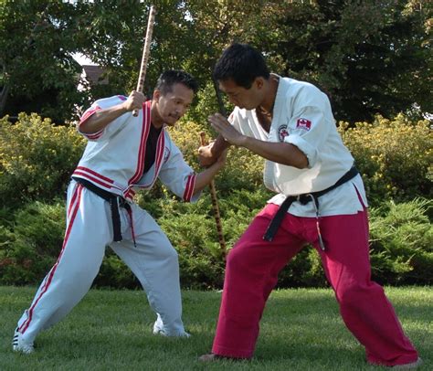 Is Kali Martial Arts Dangerous at Audrey Cunningham blog