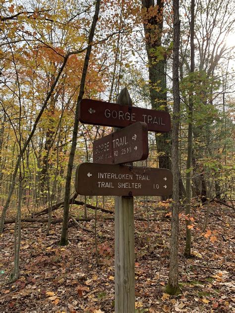 The Finger Lakes Times Obituaries - Surveys Hyatt