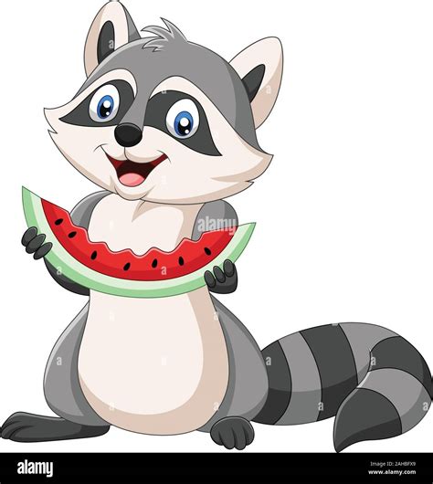 Cartoon raccoon eating watermelon on a white background Stock Vector Image & Art - Alamy