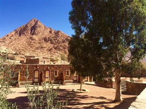 BEDOUIN CAMP (Saint Catherine, Red Sea and Sinai, Egypt) - B&B Reviews ...