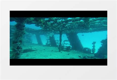 水下拍摄海底鱼群在沉船处游动实拍视频素材下载_mp4格式_熊猫办公