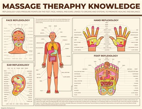 Reflexology Body Chart