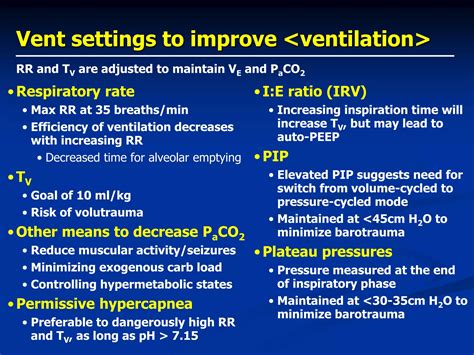 Basics of mechanical ventilation | PPSX