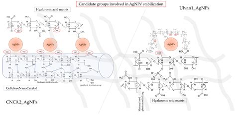 Development and Characterization of Highly Stable Silver NanoParticles ...