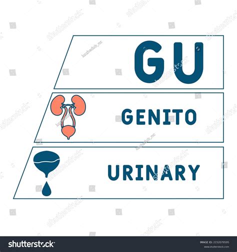 Gu Genitourinary Acronym Medical Concept Background Stock Vector ...