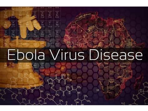 伊波拉病毒為何擴散？ - 國家地理雜誌中文網