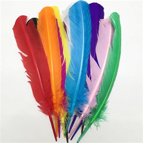 Amazon.com: 24Pcs Colorful Turkey Feathers 10-12 in Long,12 Colors ...