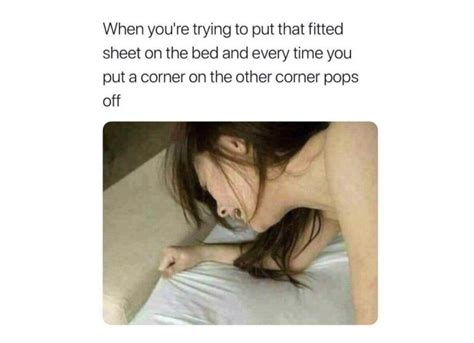 Animation Memes Polar Summit 的图像结果