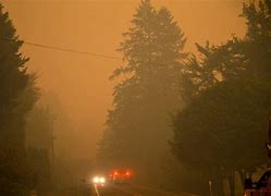 Image result for Leaburg Oregon Fire Damage