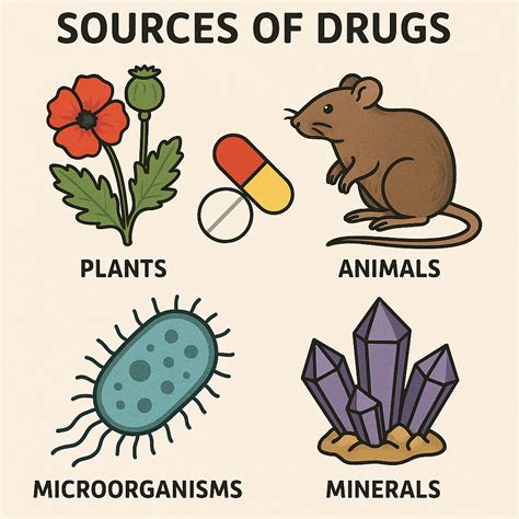 Sources Of Drugs