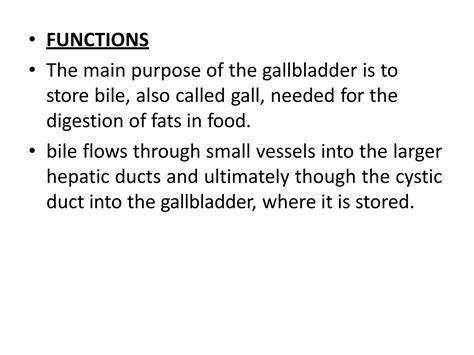 digestive system.pptx