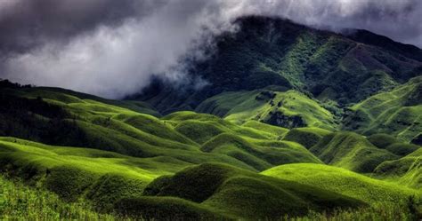 10 Best Things To Do In Nagaland For That Perfect Vacay In 2026!