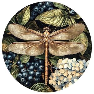 Image result for Cool Basic Things to Draw with Python Turtle