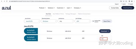 Java JDK 8 Window 7 32-Bit 的图像结果