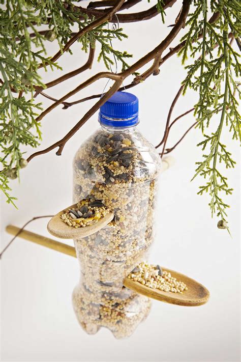 School Project Recycled Bird Feeder at Pearl Brandon blog