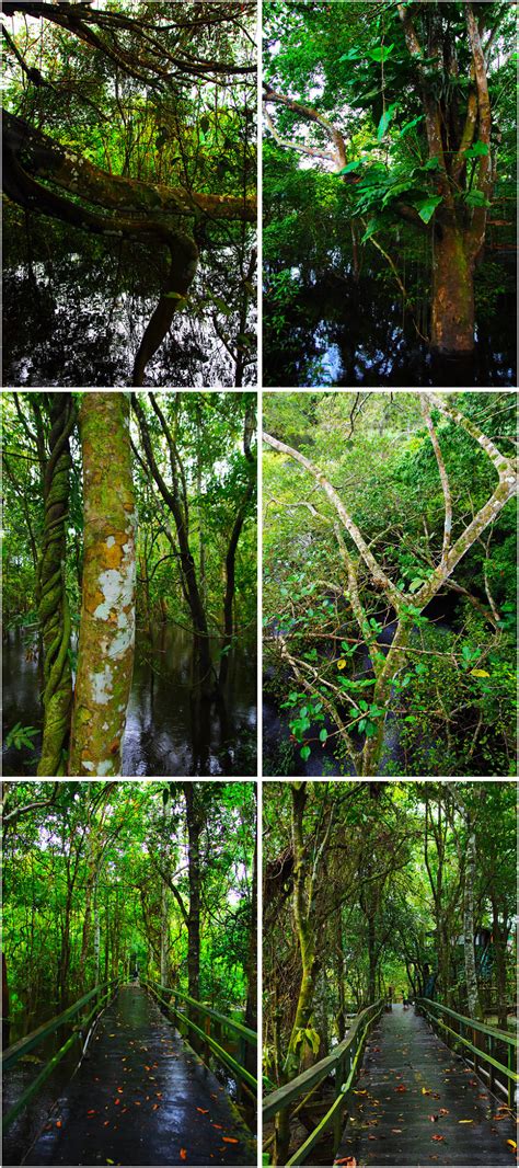 巴布亚新几内亚：行走神秘的原始丛林(组图)(3)_新浪旅游_新浪网