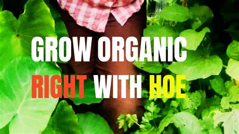 African Farming Methods 的图像结果