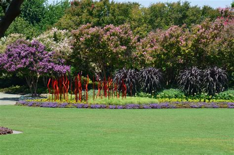 PLEASE STOP PLANTING CRAPE MYRTLES!!