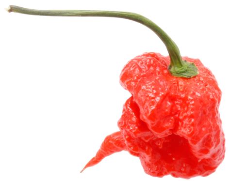 carolina reaper scoville