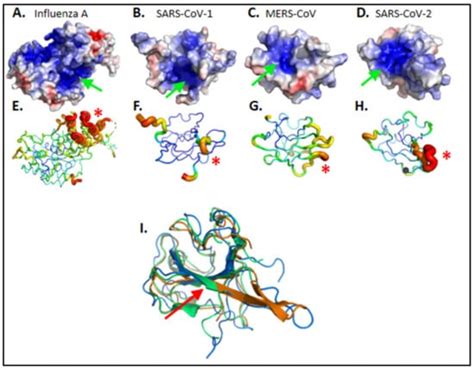 Antiviral Properties of the NSAID Drug Naproxen Targeting the ...