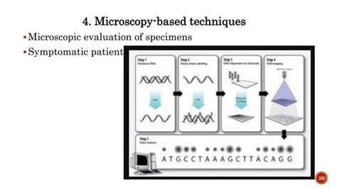 DNA Sequencing Methods 的图像结果