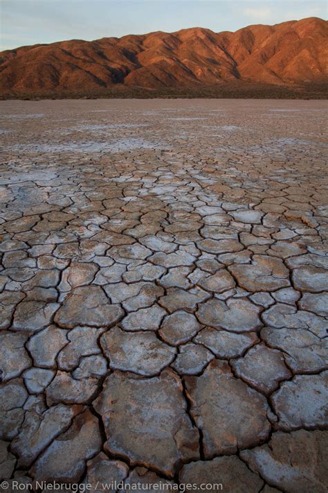 Dry Lake Bed | Photos by Ron Niebrugge