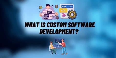 Image result for Custom Software Development Examples