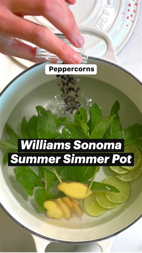 Williams sonoma signature simmer pot – Artofit