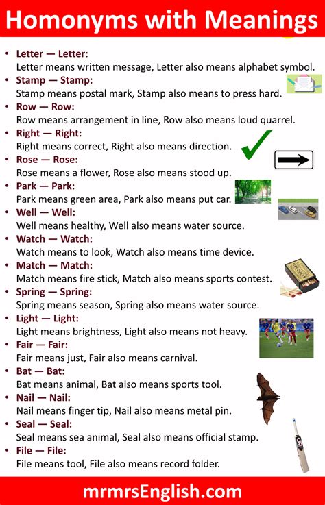 100 Homonyms and their Meanings in English with Pictures - MR MRS ENGLISH