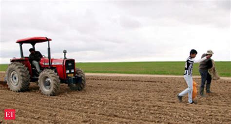 Climate change may dramatically reduce wheat production - The Economic ...