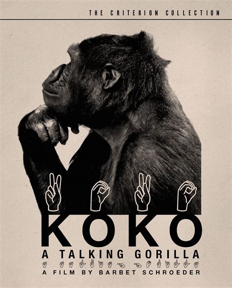 Koko: A Talking Gorilla (1978) | The Criterion Collection