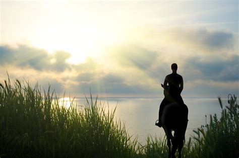 Silhouette of the rider against the sunset sky | Premium Photo