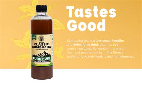 Peepal Farm Products Farm Handcrafted Classic Kombucha Black Tea Liquid ...